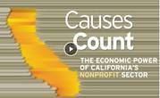Causes Count 2019