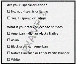 Example of the federal agency questionnaire on race on ethnicity.