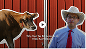 Sacred Cows of the Tax Code